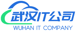 武漢深度動力科技有限公司